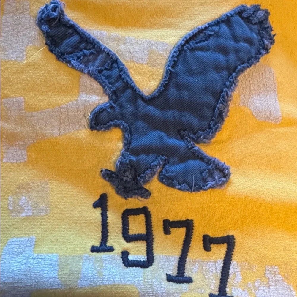 American Eagle Outfitters Classic Fit distressed yellow hoodie sweatshirt‎ S